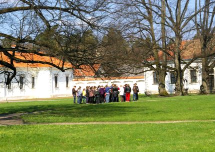 BAROKO PASLAPTYS PAŽAISLIO VIENUOLYNE/kultūros pasas