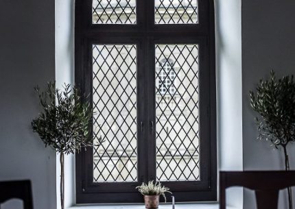 Организация питания,  дегустации