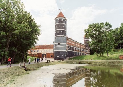 Замки долины Нямана